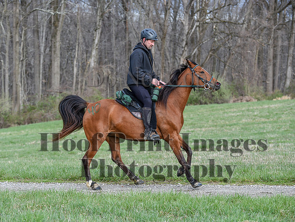 ChesapeakeSpring(4-10-22)0133