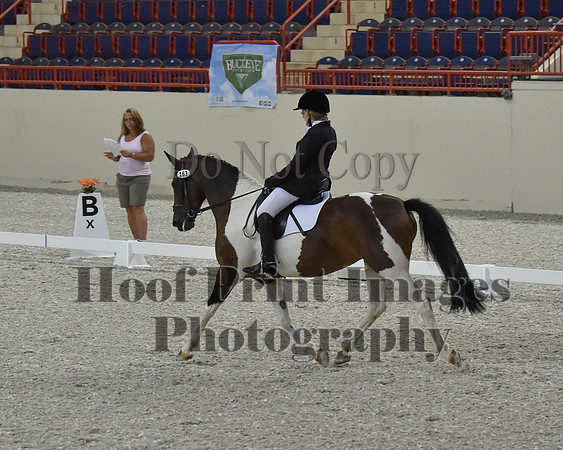 CWdressageII(8-21-16)1094