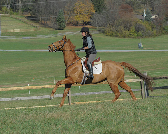BHPC(11-15-15)0205
