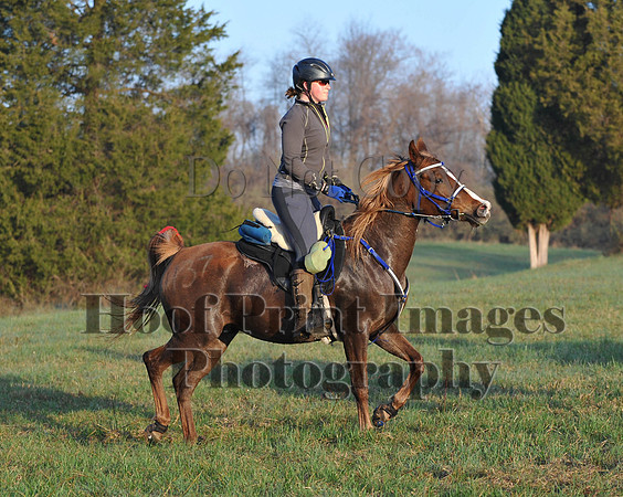 Foxcatcher(4-12-14)0447