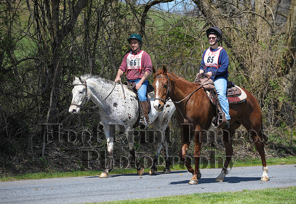 CheshirePC(4-16-16)0438