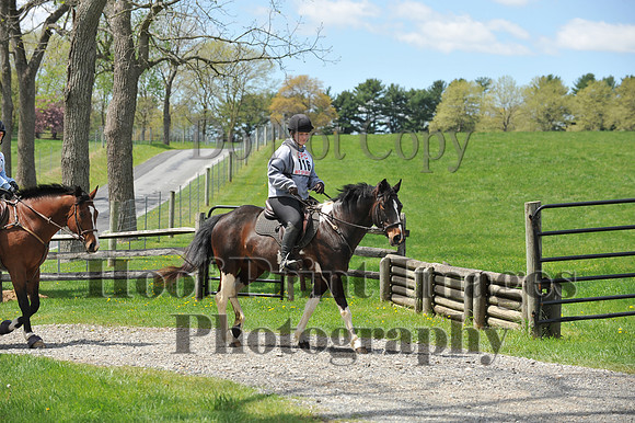 MrStewartsCheshirePC1(4-27-25)0392
