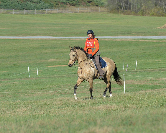BHPC(11-15-15)0709