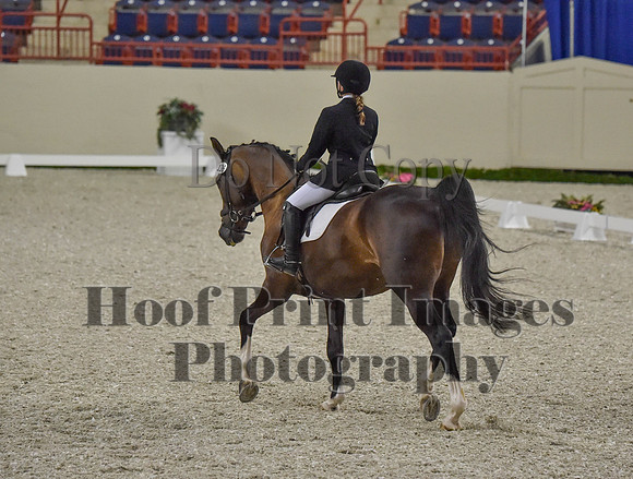 CWdressageI(8-20-16)0202