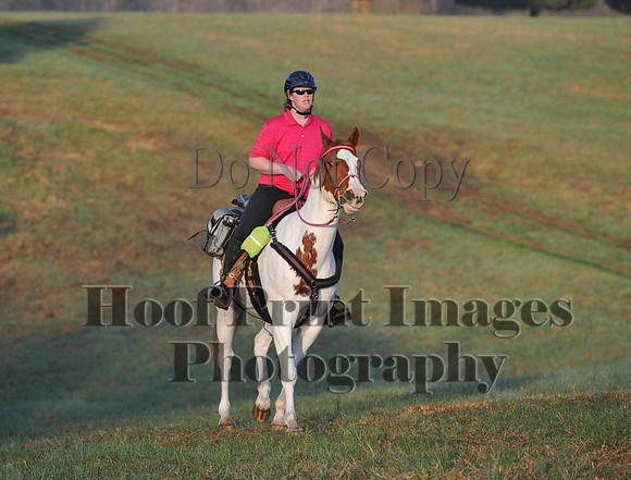 Foxcatcher(4-12-14)0281