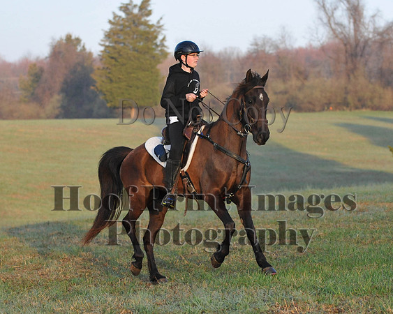 Foxcatcher(4-12-14)0195