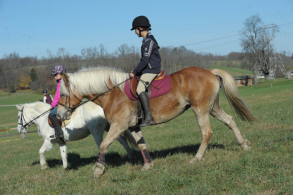 BHPC(11-15-15)0465