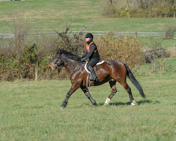 BHPC(11-15-15)0599