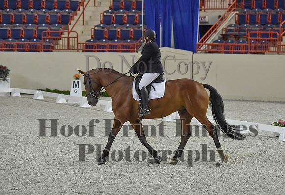 CWdressageI(8-20-16)0234
