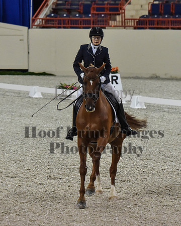CWdressageII(8-21-16)0260