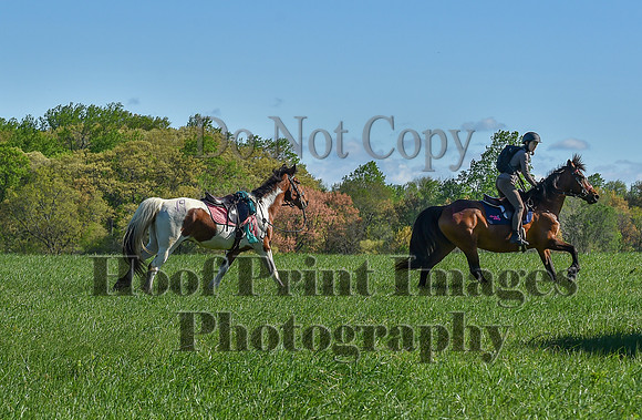 ChesapeakeSpring(4-27-25)0426