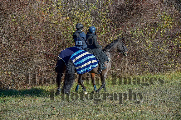 FairHillFallPC(11-30-24)0156