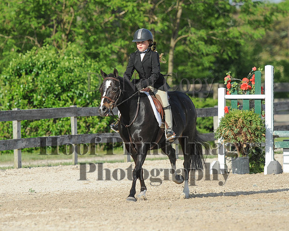 BRSa(5-17-14)SMChP0026