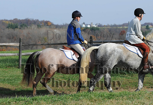 AndrewsBr(11-9-14)0472
