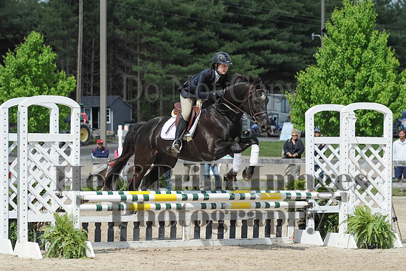 BRSa(5-17-14)0.8mJCl0039
