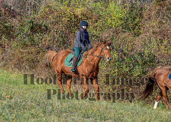FairHillFallPC(11-30-24)0130