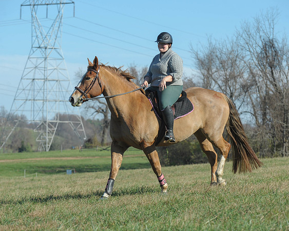 BHPC(11-15-15)0082