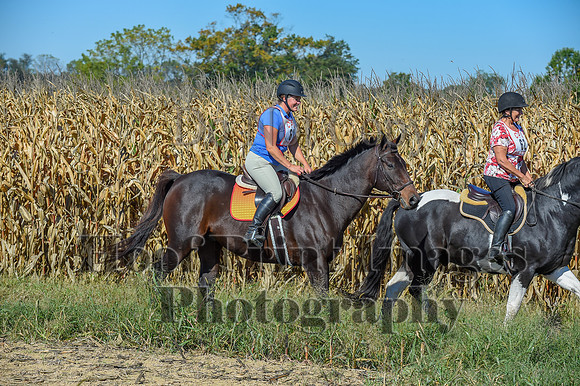 CheshirePonyClubPC(10-6-24)0223