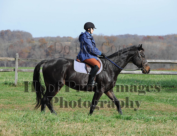 AndrewsBr(11-9-14)0353