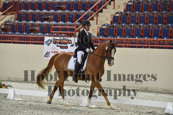 CWdressageI(8-20-16)0521