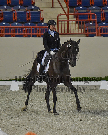 CWdressageII(8-21-16)0666