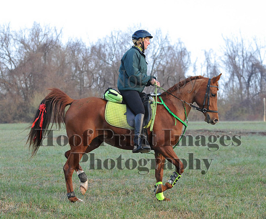 Foxcatcher(4-12-14)0170
