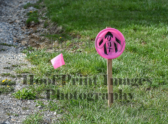 ChesapeakeSpring(4-10-22)0562