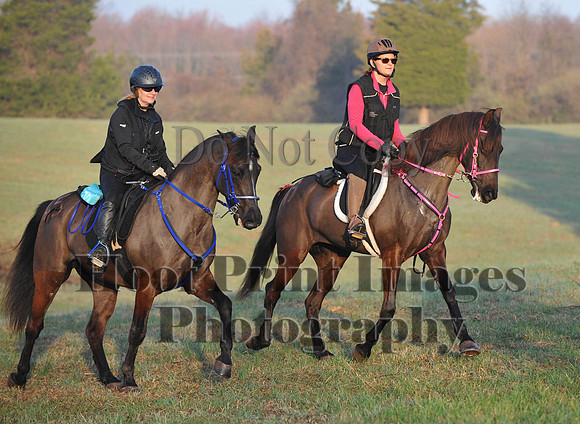 Foxcatcher(4-12-14)0261