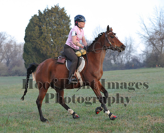 Foxcatcher(4-12-14)0156