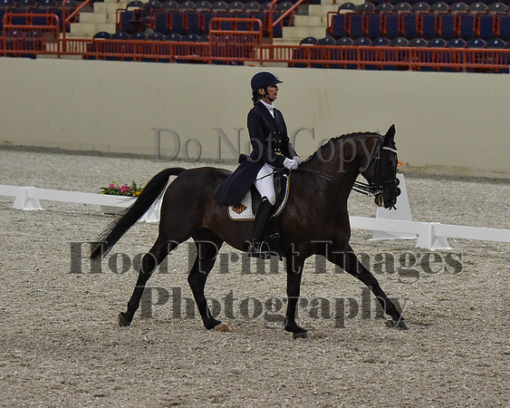 CWdressageII(8-21-16)0725