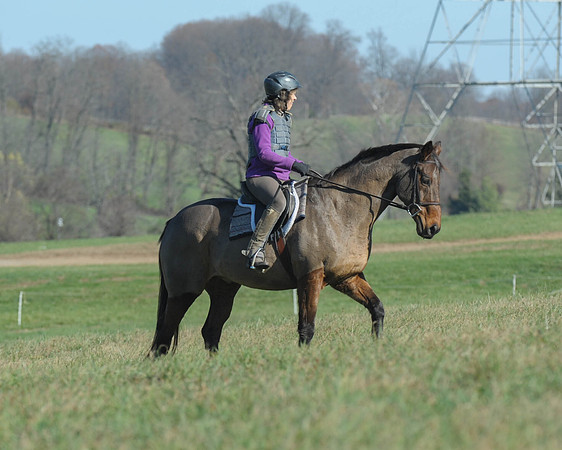 BHPC(11-15-15)0094