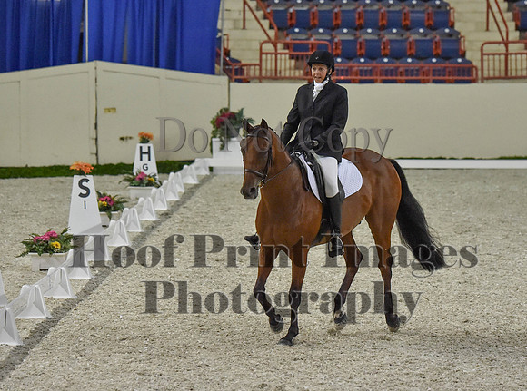 CWdressageI(8-20-16)0373
