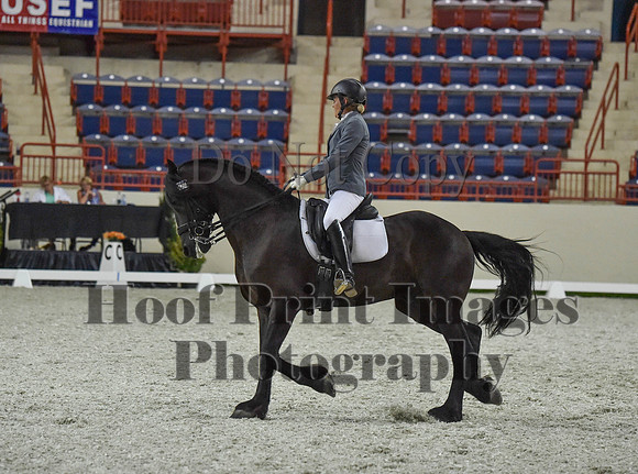CWdressageI(8-20-16)1228
