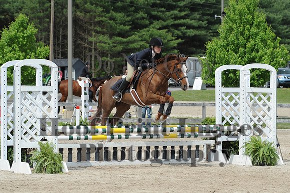 BRSa(5-17-14)0.8mJCl0047