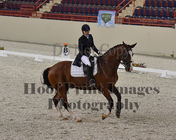 CWdressageII(8-21-16)1750