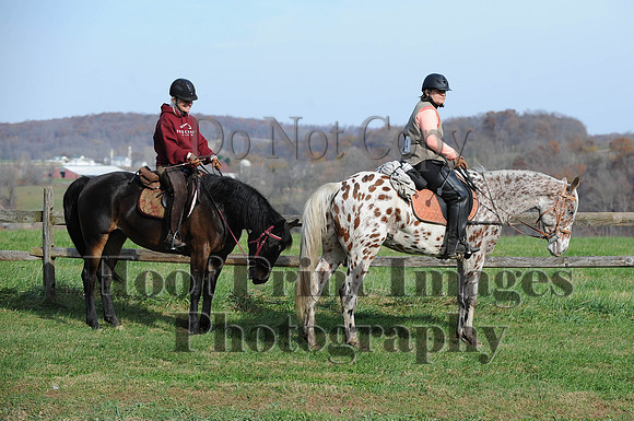 AndrewsBr(11-9-14)0377