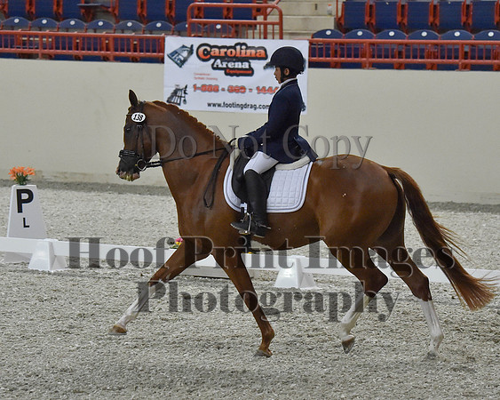 CWdressageII(8-21-16)1195
