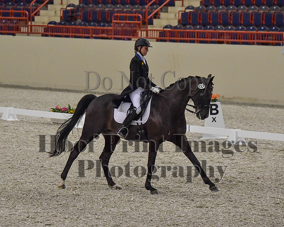 CWdressageII(8-21-16)0673