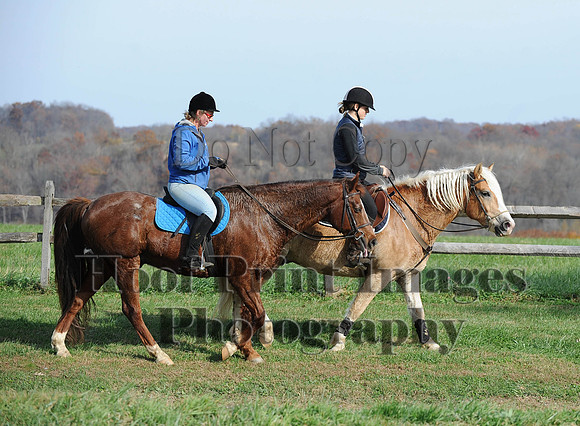 AndrewsBr(11-9-14)0363