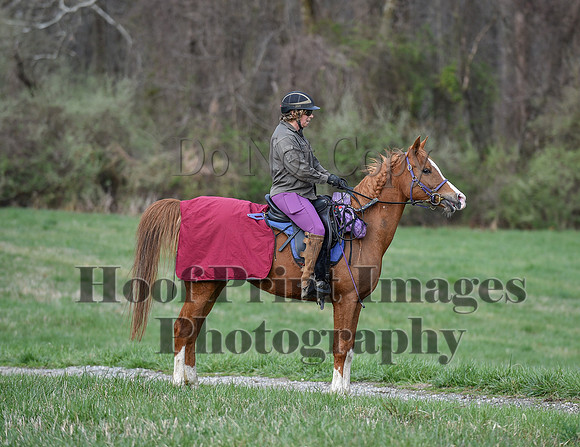 ChesapeakeSpring(4-10-22)0139