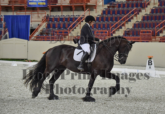 CWdressageI(8-20-16)0898