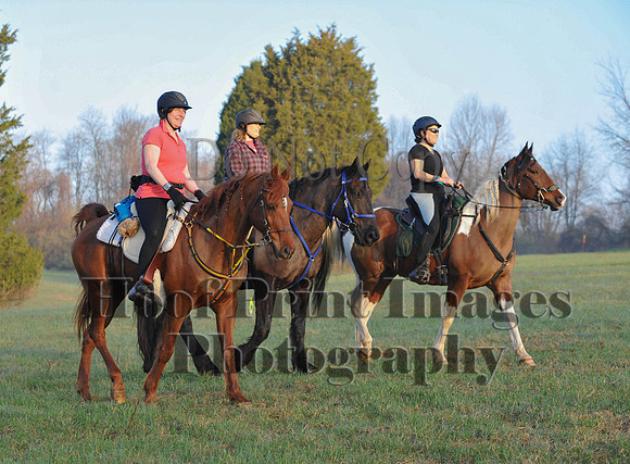 Foxcatcher(4-12-14)0242