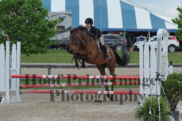 BRSa(5-17-14)0.8mJCl0056