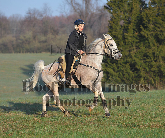 Foxcatcher(4-12-14)0508
