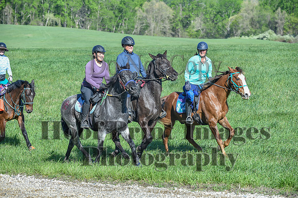 ChesapeakeSpring(4-27-25)0484