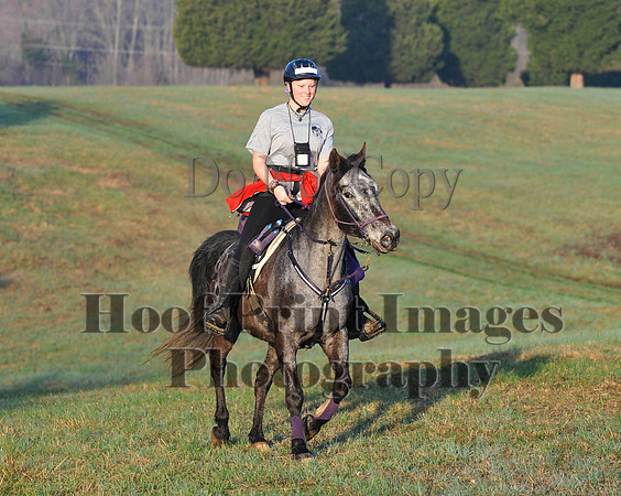 Foxcatcher(4-12-14)0471