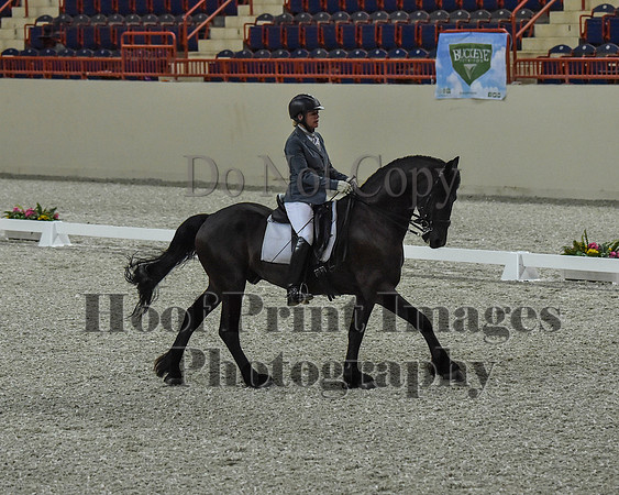 CWdressageII(8-21-16)0203