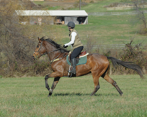 BHPC(11-15-15)0151