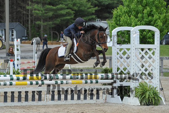 BRSa(5-17-14)0.8mJCl0065