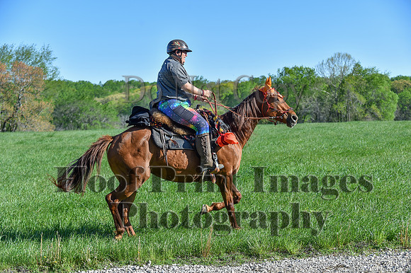ChesapeakeSpring(4-27-25)0362